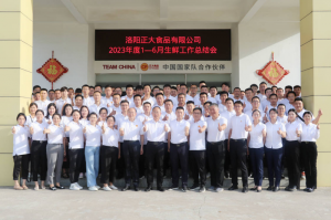 總結(jié)過(guò)去，計(jì)劃未來(lái)，協(xié)同創(chuàng)新，再創(chuàng)佳績(jī)！洛陽(yáng)正大舉行2023年上半年工作總結(jié)會(huì)議